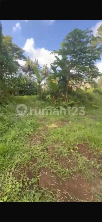 Tanah Murah View Sawah Abadi Mas Ubud Zona Kuning - Real Estate in Bali