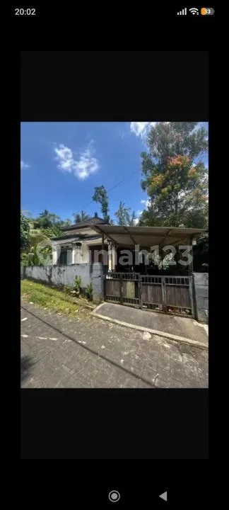 Rumah Murah Kediri Tabanan Siap Huni bisa Kredit - Real Estate in Bali