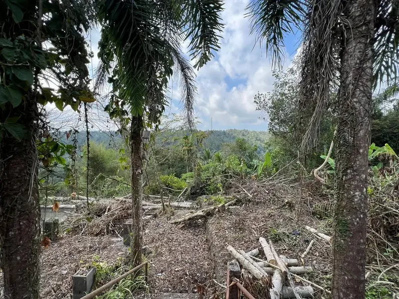 Dijual Tanah Los Sungai Bonus Eks Kompleks Villa - Real Estate in Bali