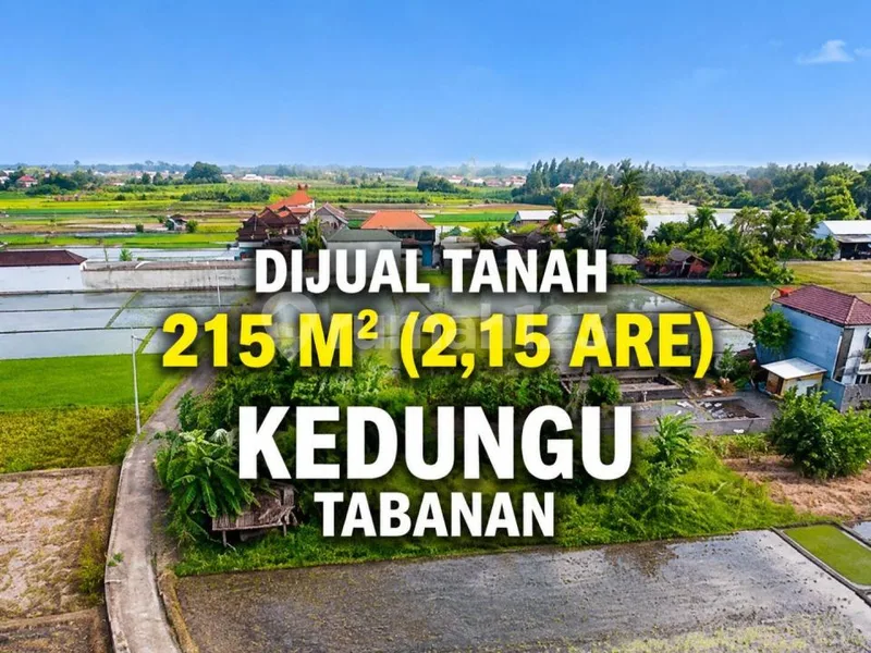 Tanah 215MÂ² View Sawah di Kedungu Tabanan Bali - Bali in Bali