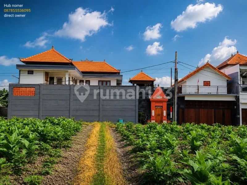 Dijual Premium Villa Dekat Pantai Gianyar Bali - Real Estate in Bali