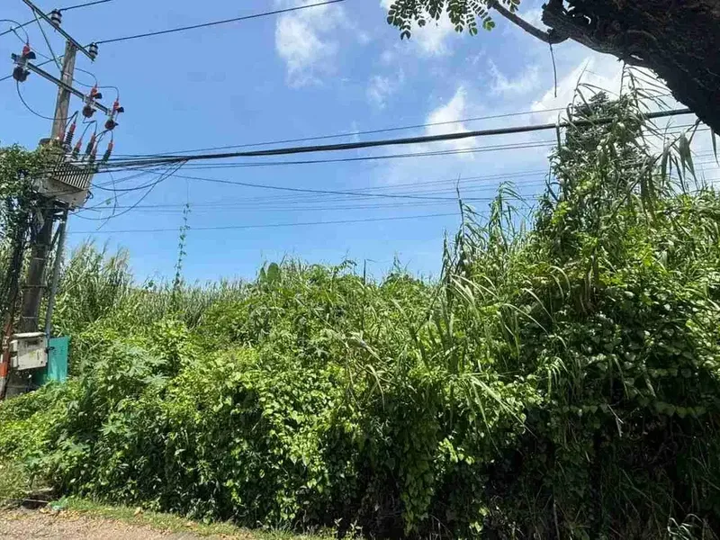 Tanah - Bali in Bali