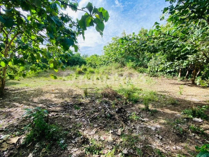 Tanah Luas View Laut Terbuka Strategis di Bali - Real Estate in Bali