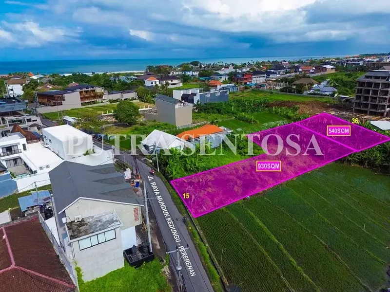 TANAH PERERENAN PANTAI JALAN UTAMA - Real Estate in Bali