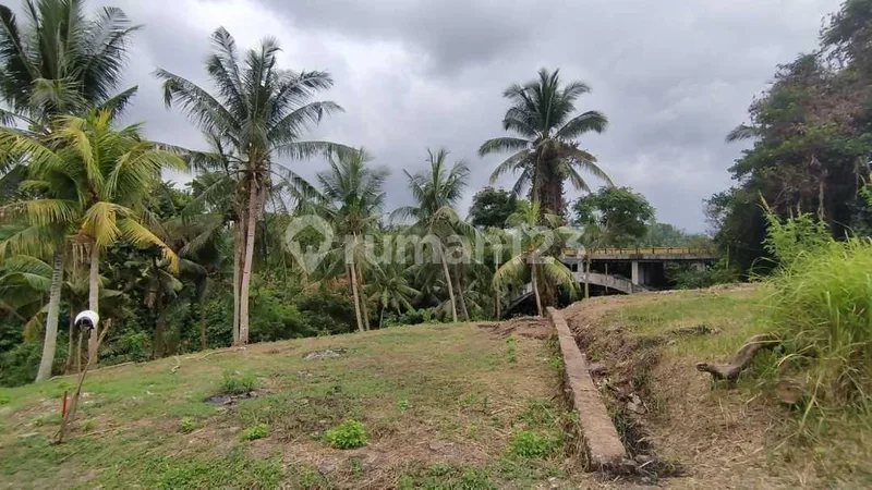 Riverside SHM Land 6.68 Sqm Gianyar Ubud Jungle & River View V287 - Real Estate in Bali
