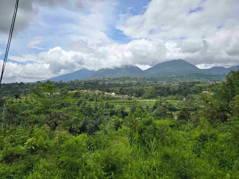 dijual tanah view exotik gunung dan terasering di baturiti bali - Real Estate in Bali