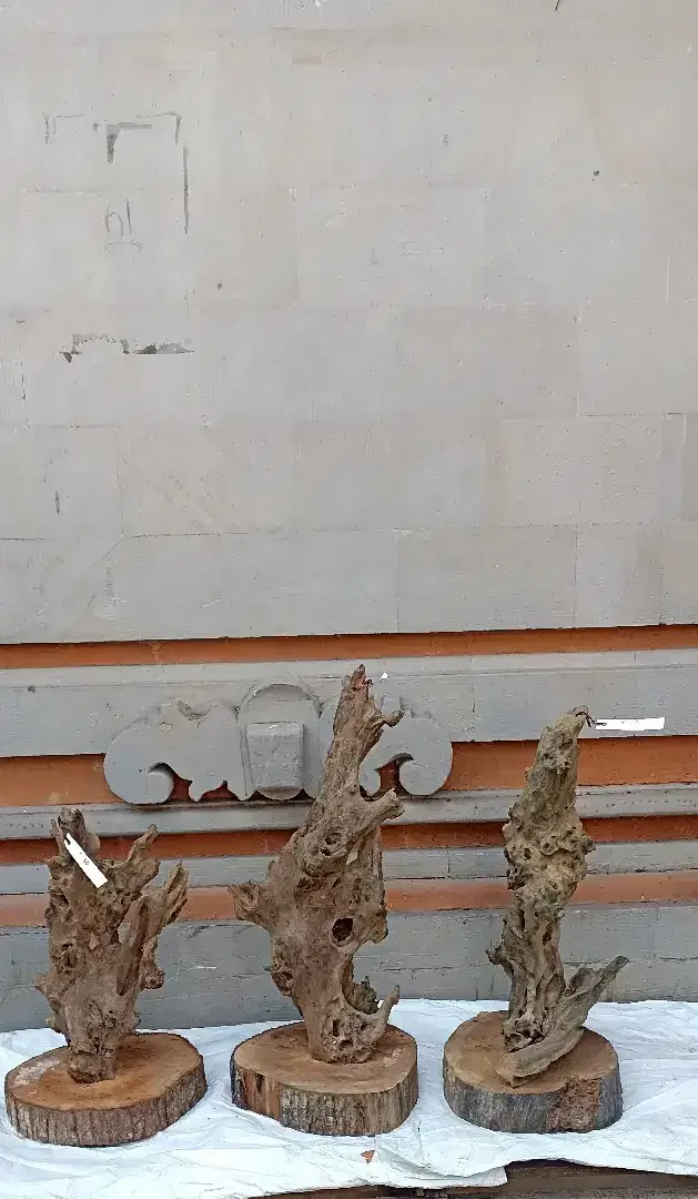 Kayu fosil estetik - Home & Garden in Bali