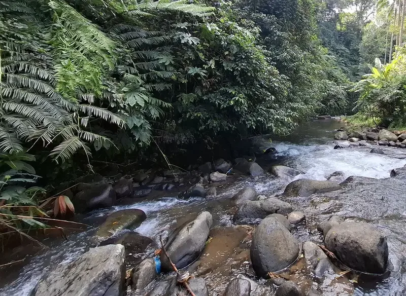 Dijual tanah los sungai view gunung dan sawah - Bali in Bali