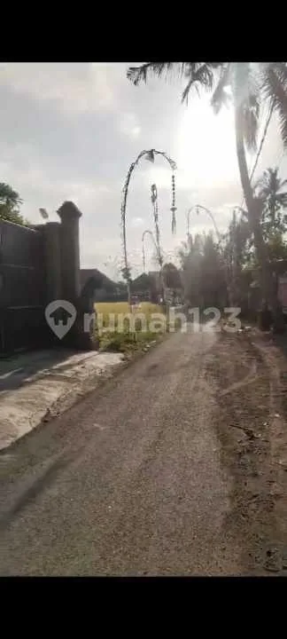 Dijual Tanah Area Lodtunduh Zona Kuning Strategis - Real Estate in Bali