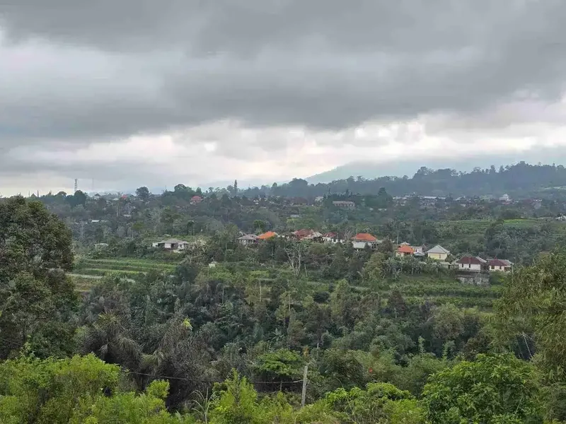 kebun dengan view gunung dan sawah penuh panorama - Real Estate in Bali