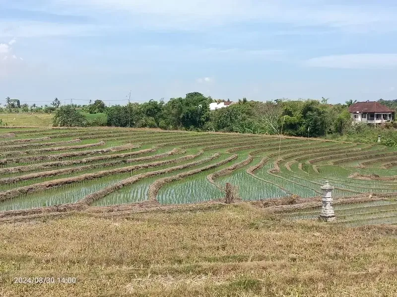Dijual Tanah siap bangun - Real Estate in Bali