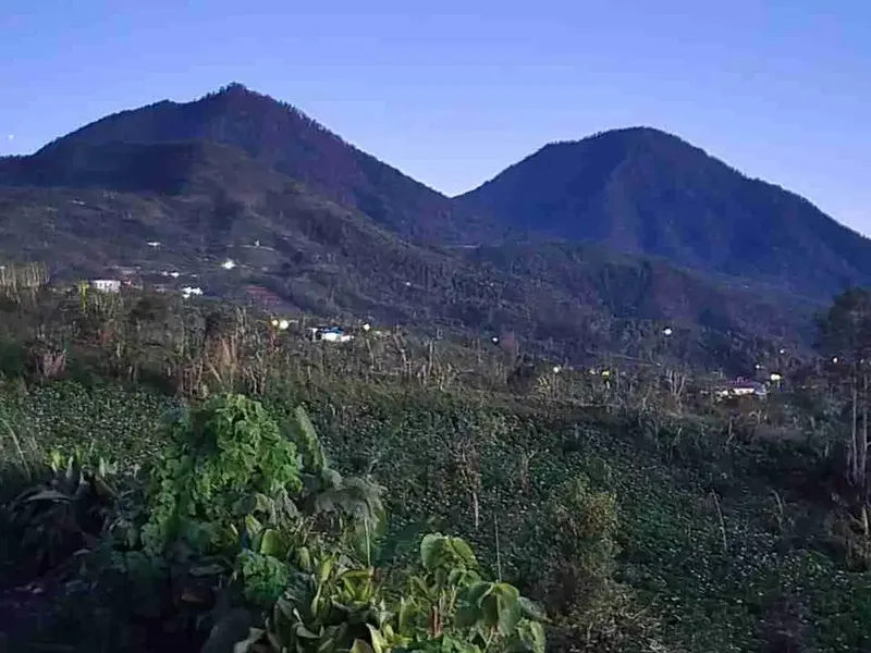 Lahan Premium Buleleng Bali View Pegunungan Luas 6,7 Ha - Real Estate in Bali