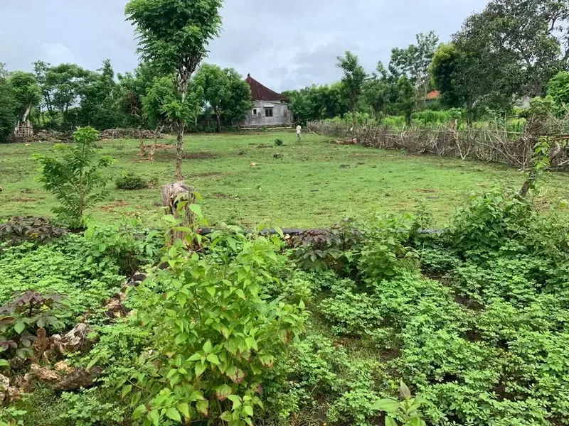 Dijual Tanah Dekat Pantai Balangan - Real Estate in Bali