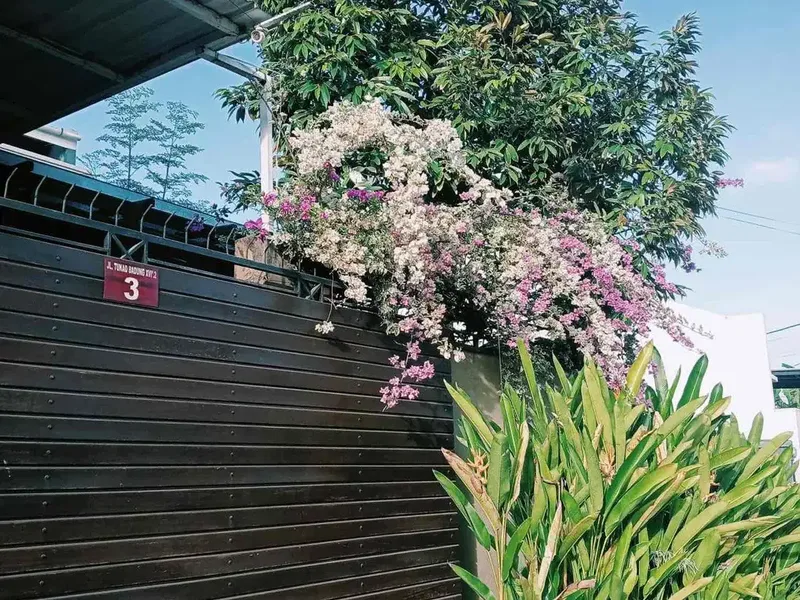 DISEWAKAN RUMAH ELEGAN DENGAN TAMAN LUAS  DI RENON - Real Estate in Bali