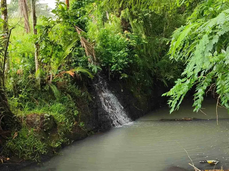 di jual tanah strategis dekat pantai zona pink Los sungai view sawah di tabanan bali - Bali in Bali