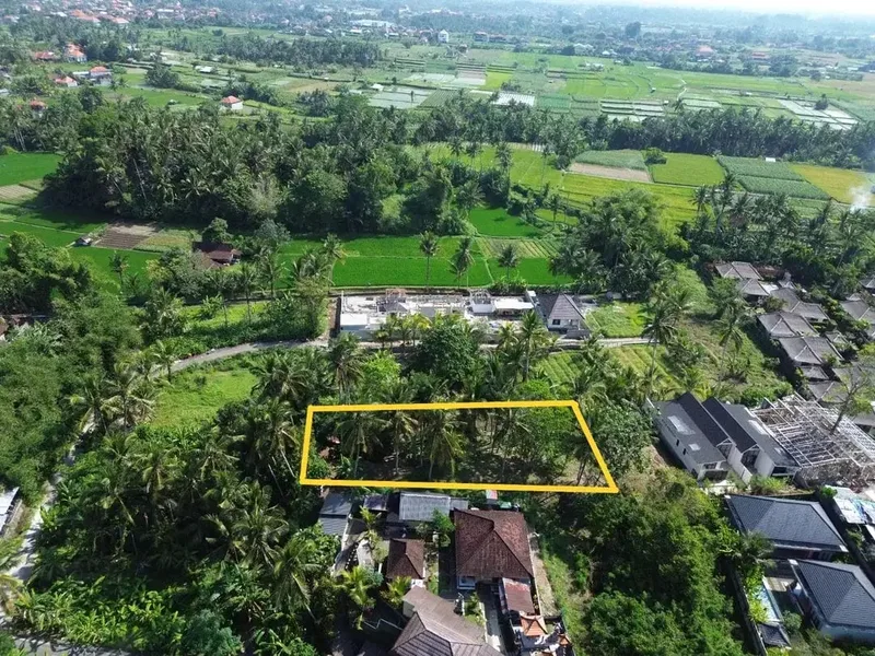[DIJUAL] Tanah Matang 10,5 Are Zona Campuran di Mambal Badung – Dekat Green School & Ubud - Real Estate in Bali