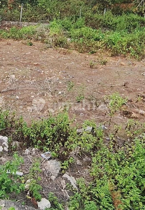 Murah Banget Jual Lahan Kavling di Renon Bali Siap Bangun - Bali in Bali