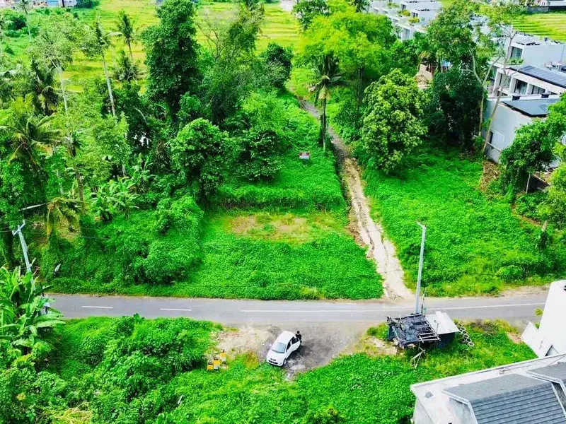 Tanah Sewa Jl Utama Pantai Nyanyi dekat Nuanu - Real Estate in Bali