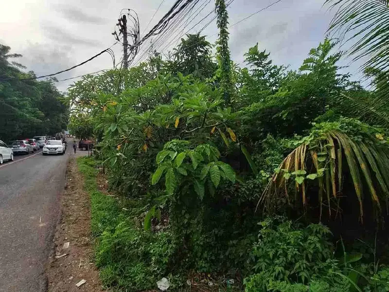 Dijual tanah di Jalan Utama Pecatu-Uluwatu - Bali in Bali
