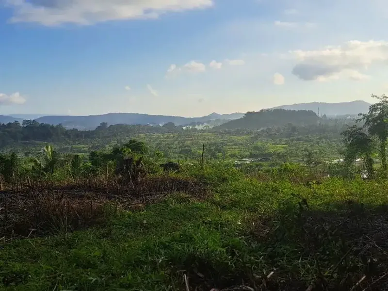Leasehold view land Ababi Tirtagangga Karangasem - Real Estate in Bali