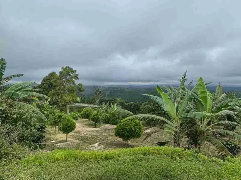 Lahan view indah plaga petang 6 are SHM - Real Estate in Bali