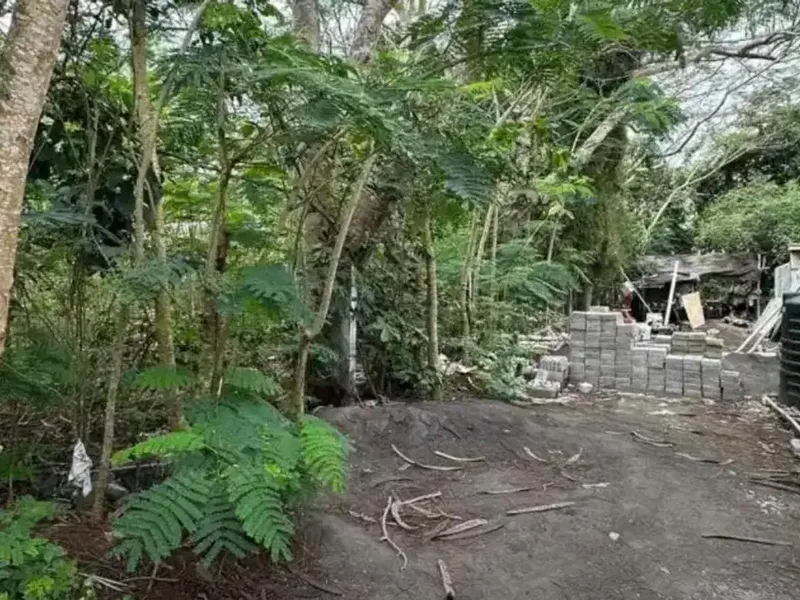 Termurah dan Bisa Nego! Dijual Kavling Lokasi Ungasan Nusa Dua Bali - Real Estate in Bali