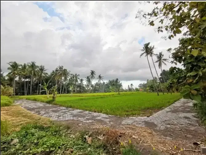 TANAH 6 ARE DI UBUD GIANYAR - Real Estate in Bali
