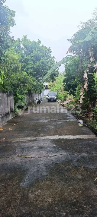 Di Jual 5 Are Lahan Dekat Kota Dan Pantai Di Lovina Bali - Real Estate in Bali