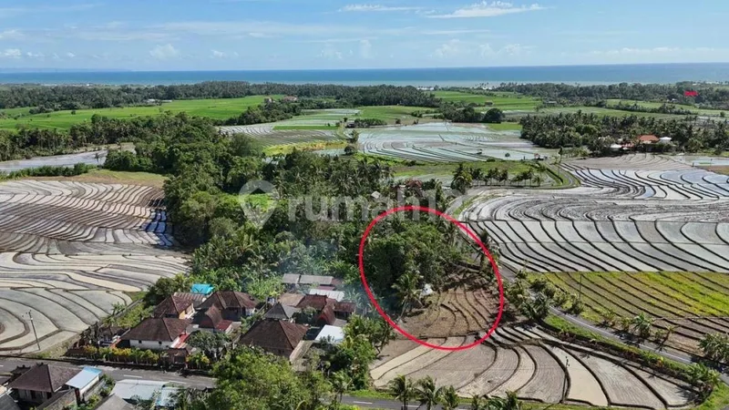 Tanah Murah Dekat Pantai Pasir Tabanan 2045 M2 Hrg Idr 1,5 Jt/M2 - Bali in Bali