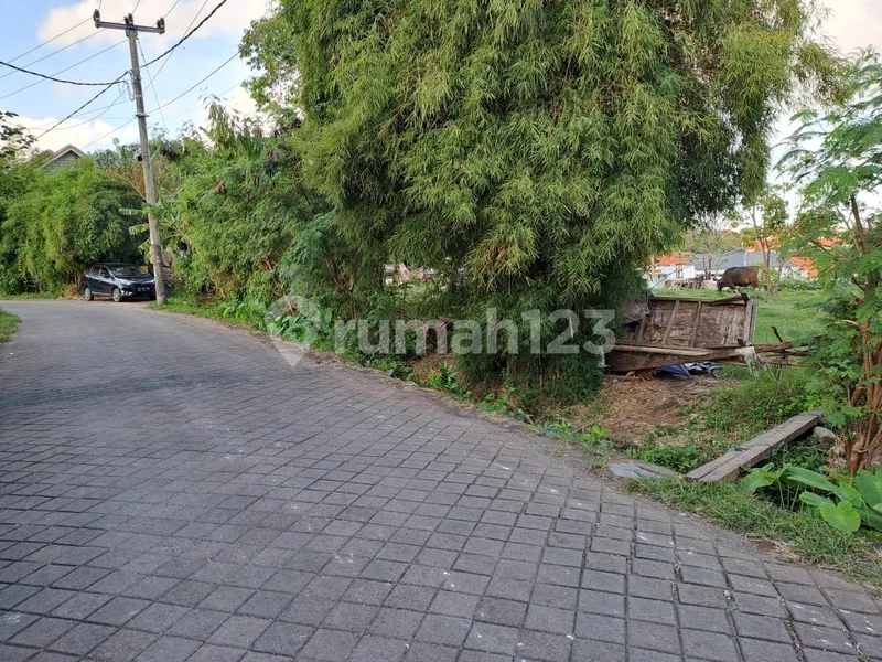 Tanah di Jl Raya Sempol Canggu cocok dibangun Kompleks Villa - Real Estate in Bali