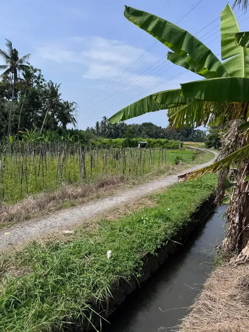 BUC 40 mnit ke Canggu - Bali in Bali