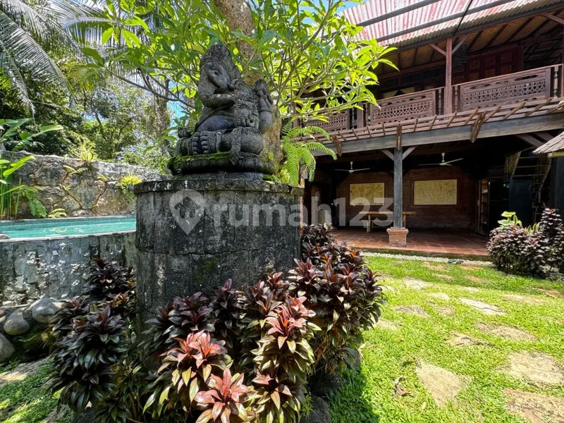 Jual villa murah dekat ubud dan pusat kota gianyar - Real Estate in Bali