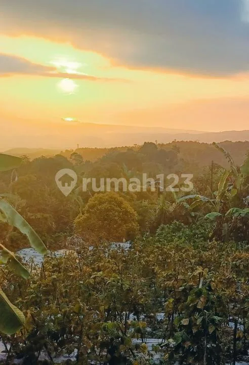 Magnificent Views Investment Opportunity Freehold Land With Unobstructed Views In Gesing - Bali in Bali