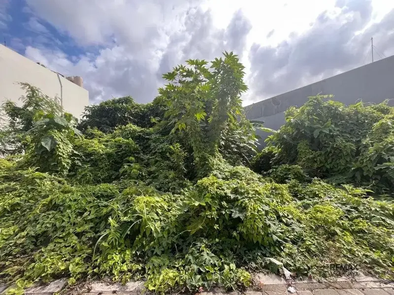 Tanah Premium 5,5 Are Disewakan di Seminyak dengan Lokasi Strategis - Real Estate in Bali