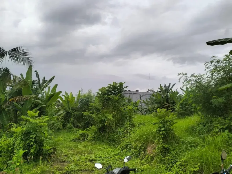 Dijual Tanah Di Lokasi Strategis Di Pantai Nyanyi - Real Estate in Bali