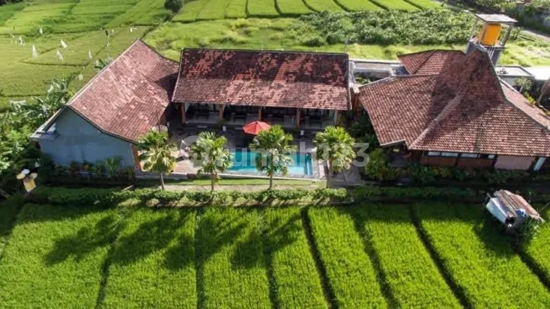 Dijual Villa di Canggu, Semat Berawa, Kuta Utara - Real Estate in Bali