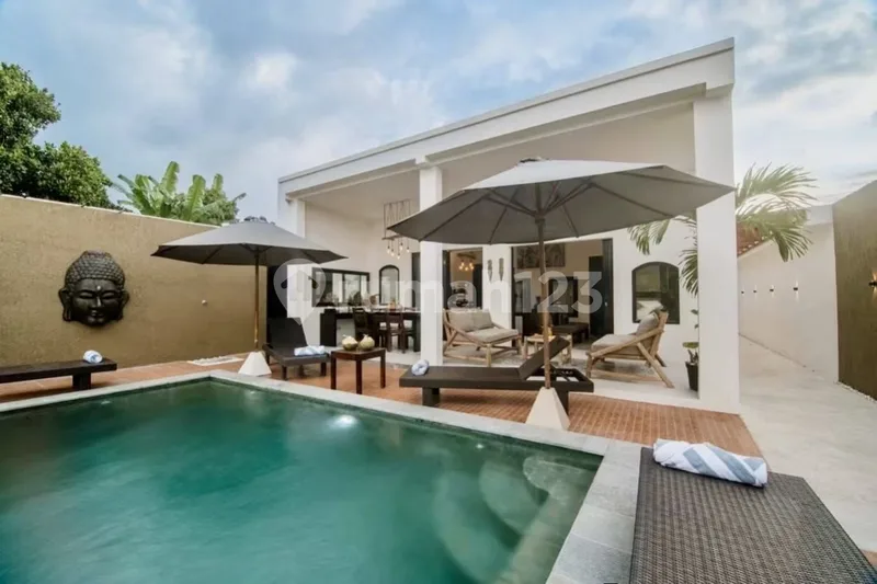 Villa Premium 3 Kamar Tidur SHM Dijual di Lovina Bali Utara - Real Estate in Bali