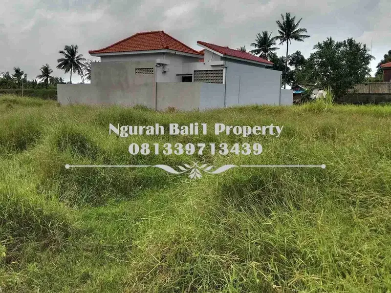 Murah Tanah Disewakan Luas 750 m2 Kawasan Villa di Ubud - Real Estate in Bali
