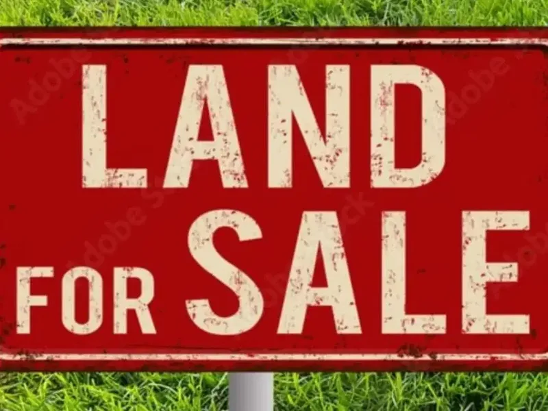 Land for Lease in Renon - Real Estate in Bali