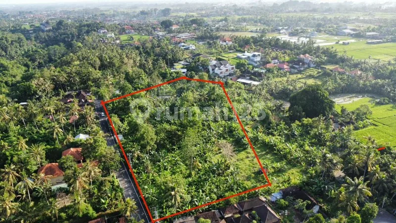 Onsale Tanah Berlokasi di Singakerta, Ubud, Gianyar. - Real Estate in Bali