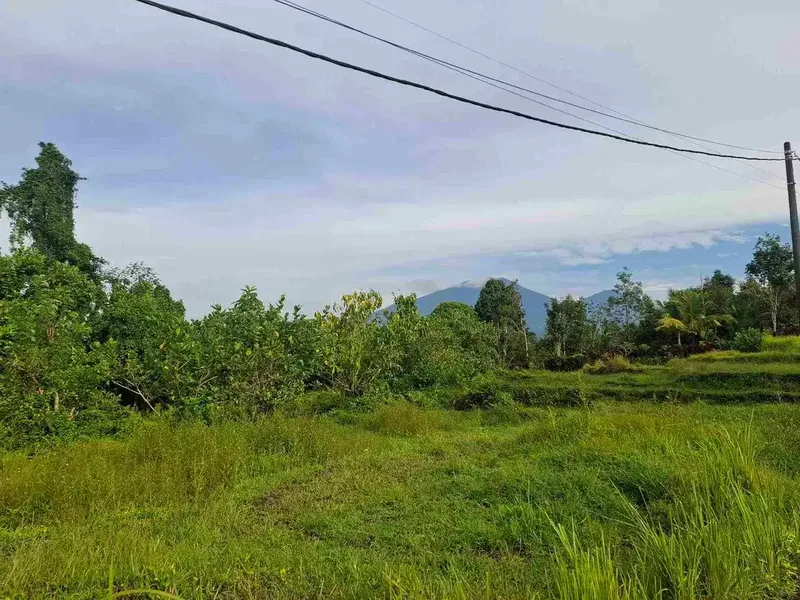 tanah kebun view gunung, view sawah dan los sungai kecil - Bali in Bali