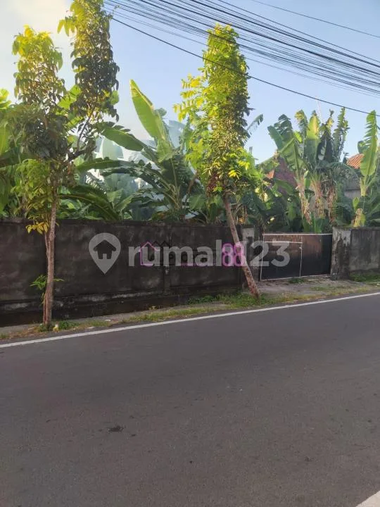 Jual Tanah Panjer Denpasar Selatan LT 217 M2 - Real Estate in Bali