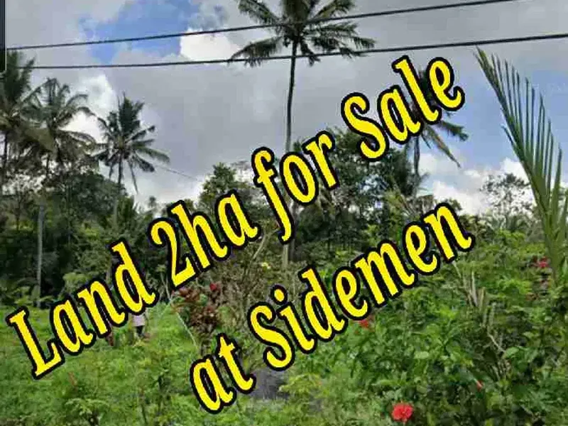 Land 2ha for Sale at Sidemen Traditional Village Bali - Bali in Bali