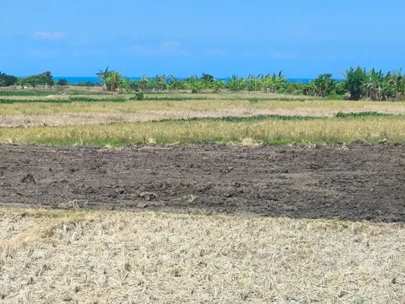 TANAH ZONA PINK TIBUBIU DEKAT PANTAI PASUT TABANAN - Real Estate in Bali