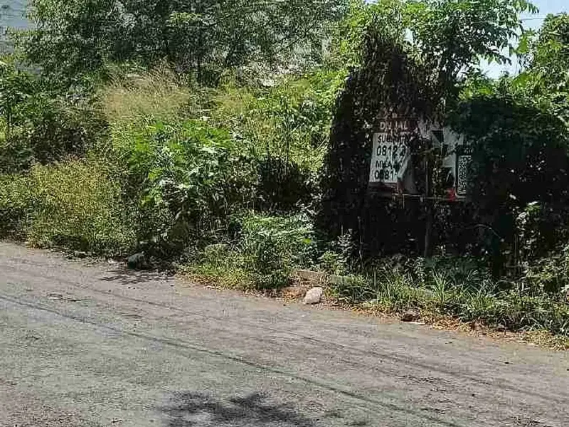 di jual tanah premium dengan luas 3,13are di badak agung renon - Bali in Bali