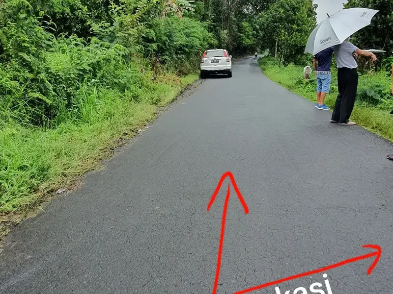 Jual TANAH 2.4 hektar di Payangan Ubud Gianyar Bali - Real Estate in Bali