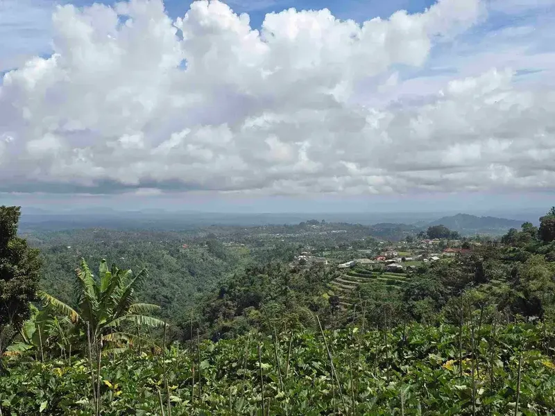 Dijual tanah view istimewa exotik lembah dan gunung di bedugul bali - Real Estate in Bali