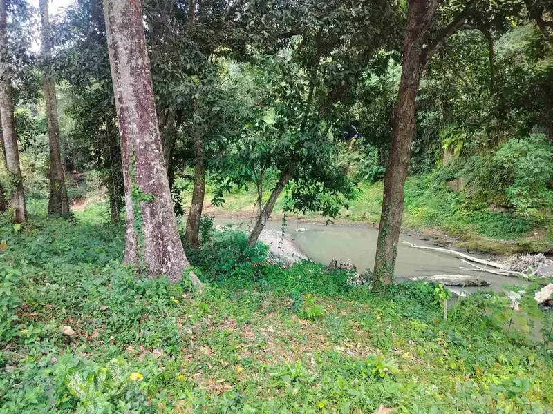 jual tanah premium.lok cepaka kaba kaba tabanan luas 3050m2 hrga 550jt/ are/100m2 - Bali in Bali