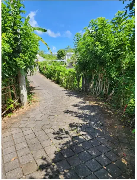 Tanah Murah 8 Are di Jl Tunjung Ungasan - Real Estate in Bali