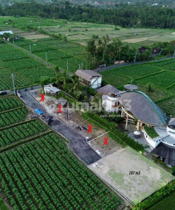 Tanah di Pantai Purnama 287m2 - Sukawati Gianyar Bali - Real Estate in Bali